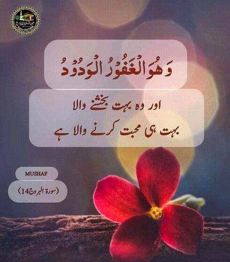 Islamic Quotes image