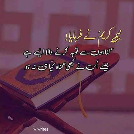 Islamic Quotes image