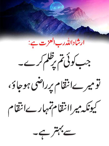Islamic Quotes image
