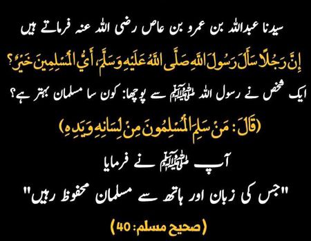 Islamic Quotes image