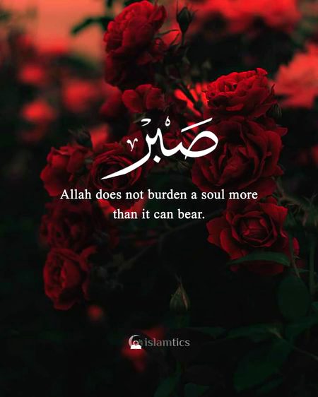 Quote
