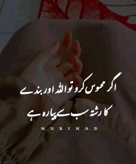 Islamic Quotes image