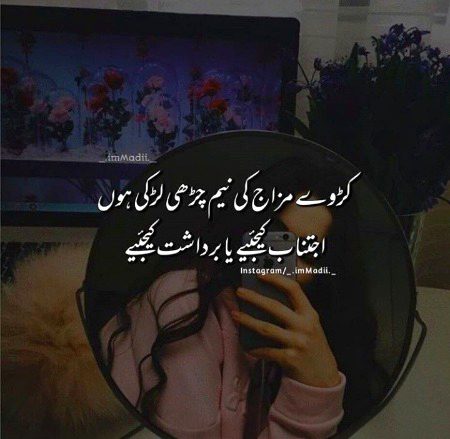 Attitude Quotes image