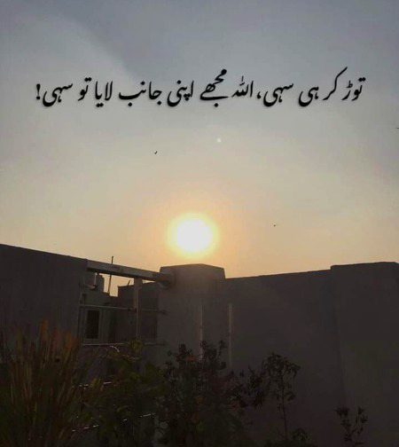 Islamic Quotes image