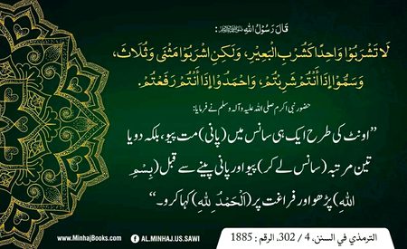 Islamic Quotes image