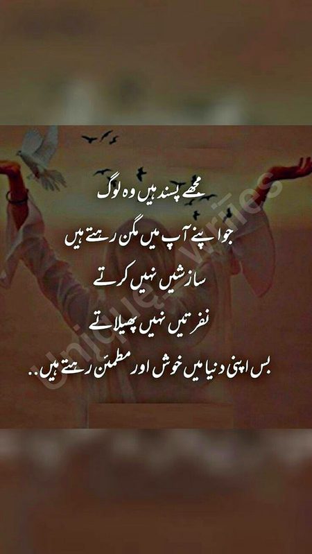 Attitude Quotes image
