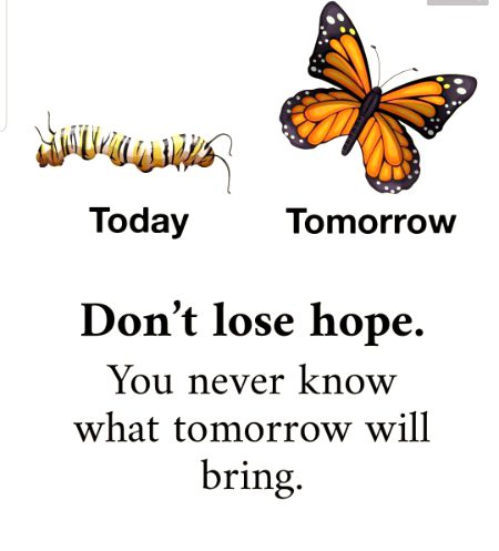 Life Advice image