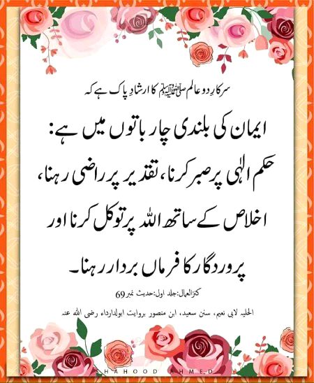 Islamic Quotes image