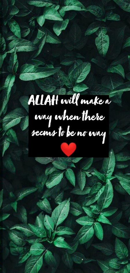 Islamic Quotes image
