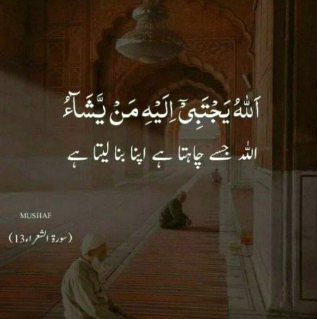 Islamic Quotes image