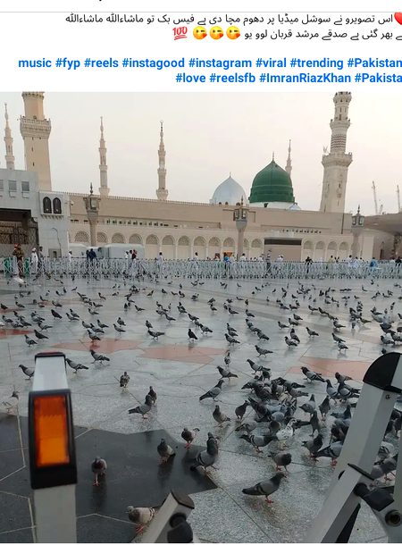 Beautiful Structures image