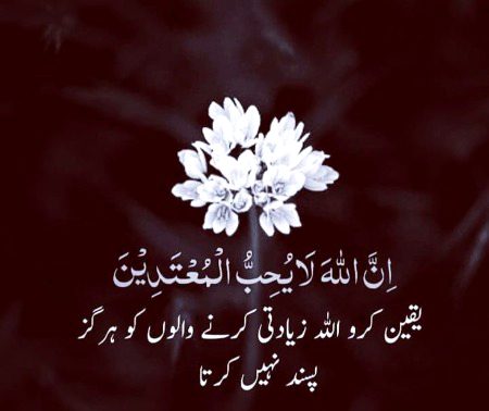 Islamic Quotes image