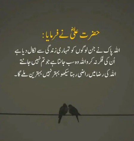 Islamic Quotes image