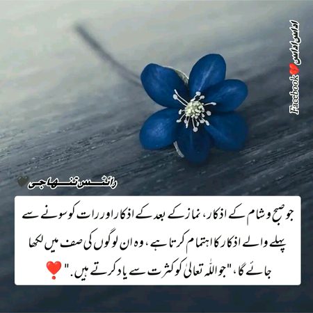 Islamic Quotes image