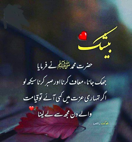 Islamic Quotes image