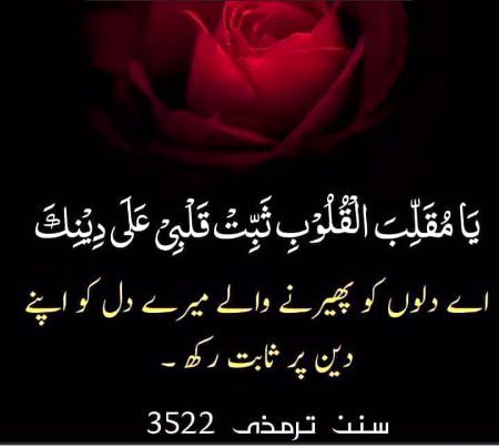 Islamic Quotes image