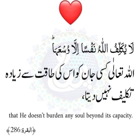 Islamic Quotes image