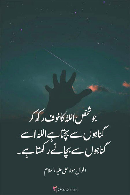Islamic Quotes image