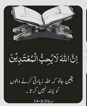 Islamic Quotes image