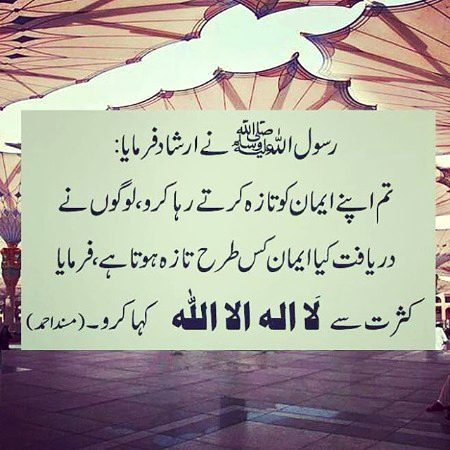 Islamic Quotes image