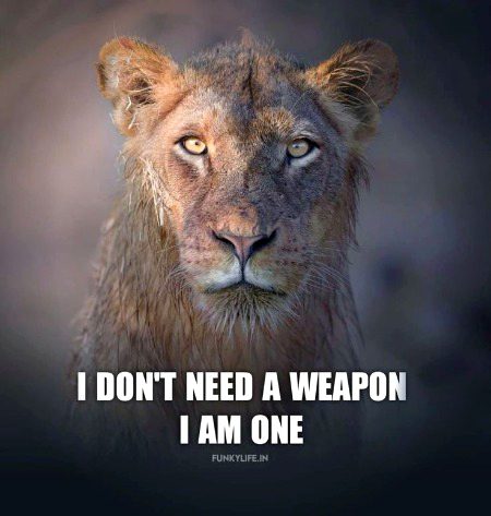 Attitude Quotes image