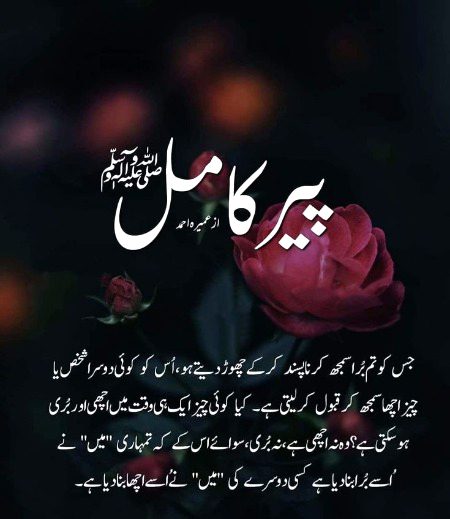 Islamic Quotes image