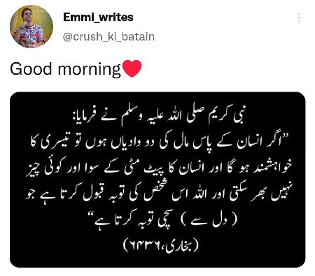 Islamic Quotes image