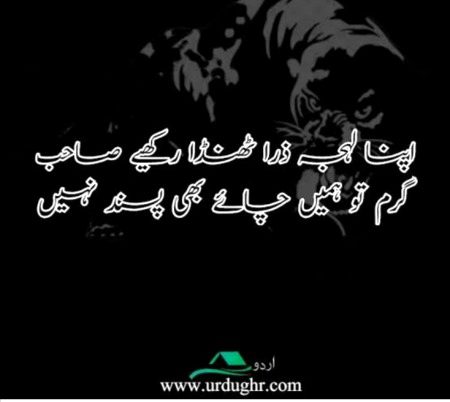 Attitude Quotes image