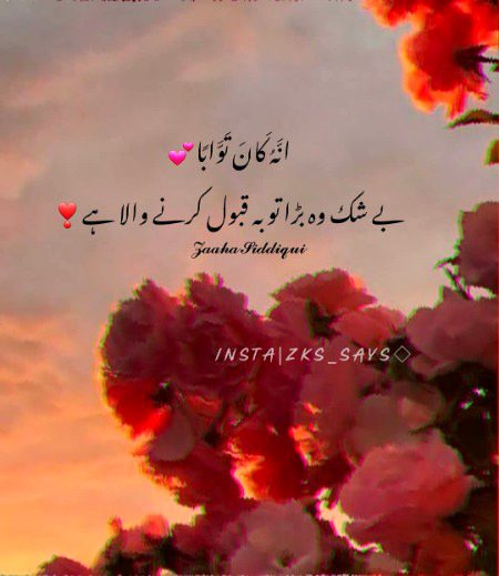 Islamic Quotes image