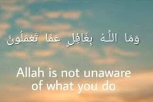 Quote