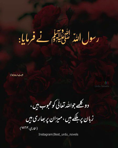 Islamic Quotes image