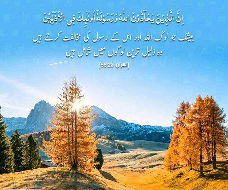 Islamic Quotes image