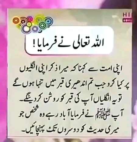 Islamic Quotes image