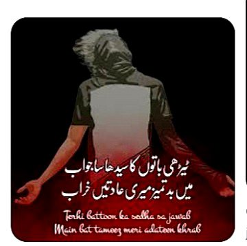 Attitude Quotes image