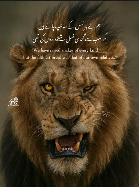 Attitude Poetry image