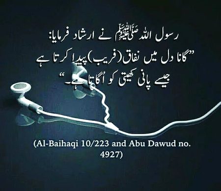 Islamic Quotes image