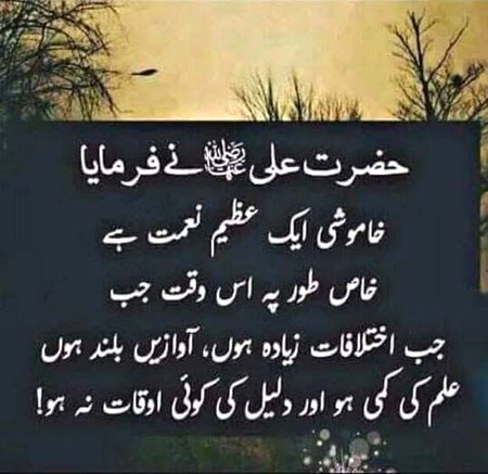 Islamic Quotes image