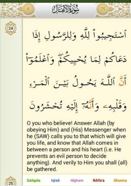Islamic Quotes image