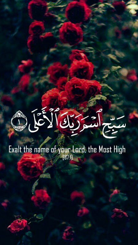 Islamic Quotes image