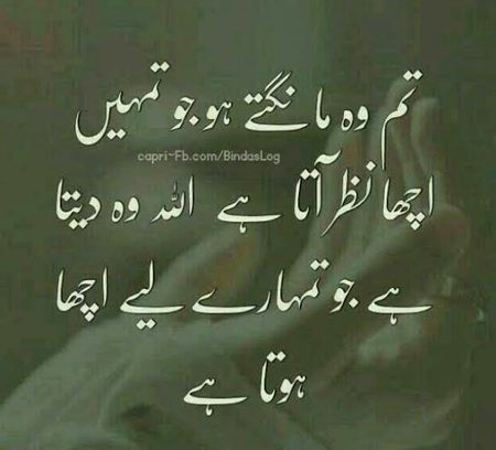 Islamic Quotes image