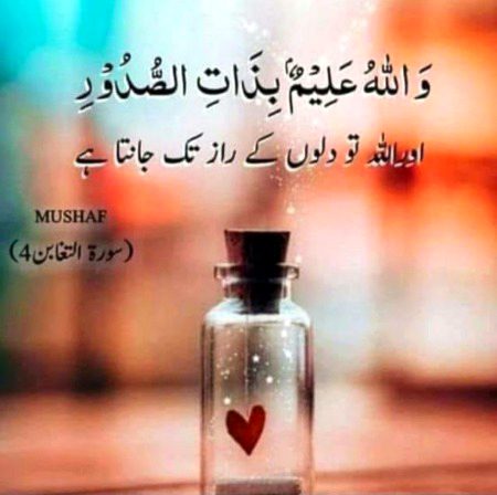 Islamic Quotes image