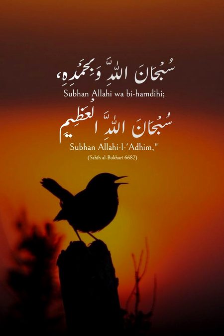 Islamic Quotes image