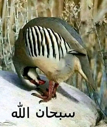 Beautiful Nature image