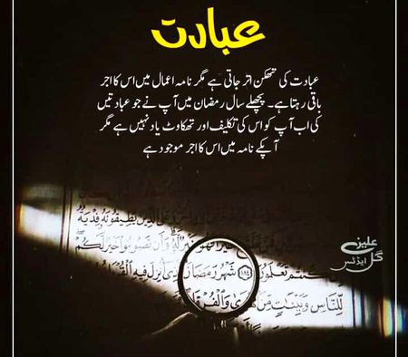 Islamic Quotes image