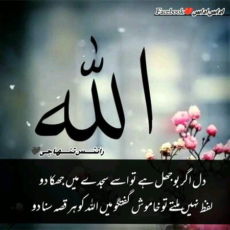 Islamic Quotes image