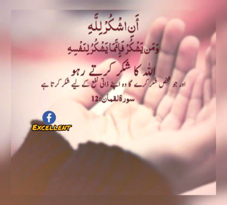 Islamic Quotes image