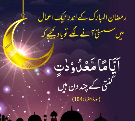 Islamic Quotes image