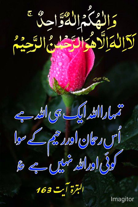 Islamic Quotes image