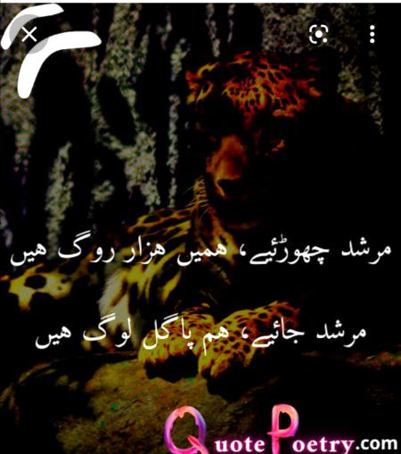 Attitude Poetry image