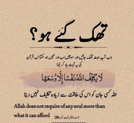 Islamic Quotes image